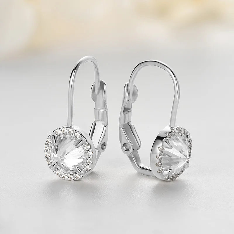 1ct Moissanite Earring 925 Sterling Silver Hoop Earrings