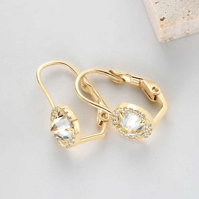 1ct Moissanite Earring 925 Sterling Silver Hoop Earrings