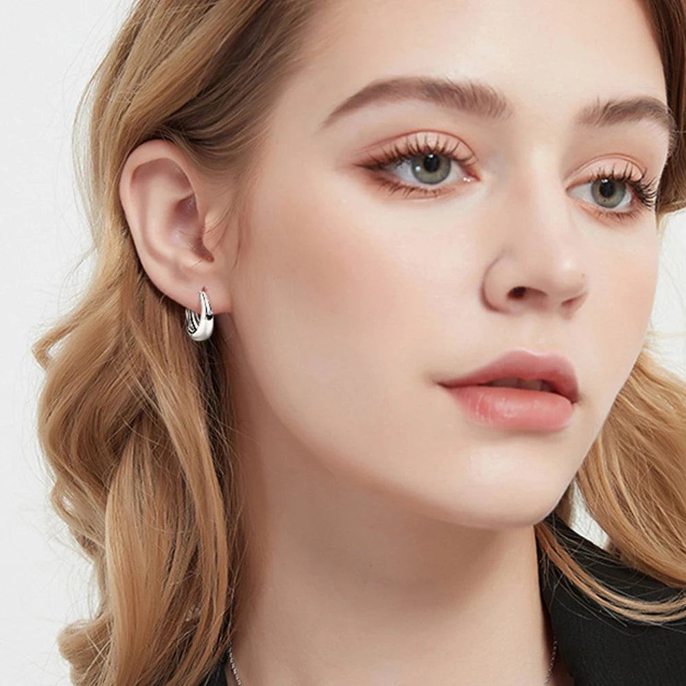 Certified 925 Silver Vintage Chunky Hoop Earring For Women 2.5mm Moissanite Earrings Trendy Prevent Allergy Jewelry Gifts