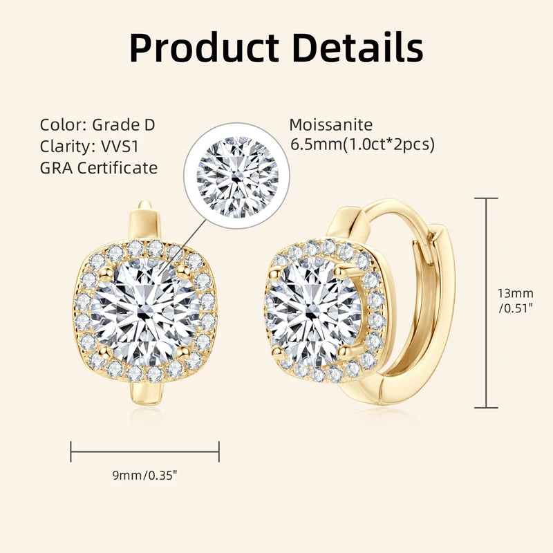Trendy Ice Out Moissanite Diamond Earring 925 Sterling Silver Hoop Earrings