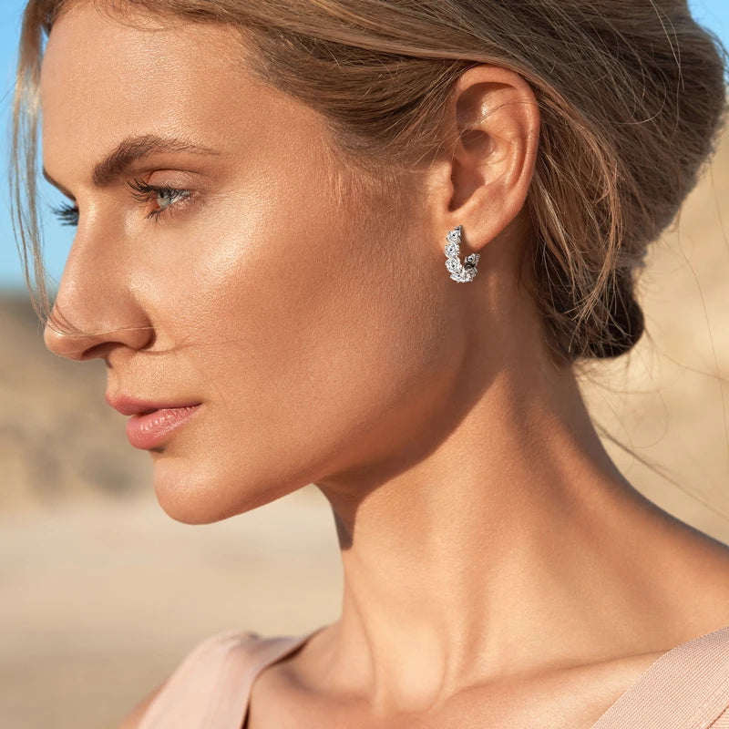 4.8CTTW Sparkling Round Cut Moissanite Earring