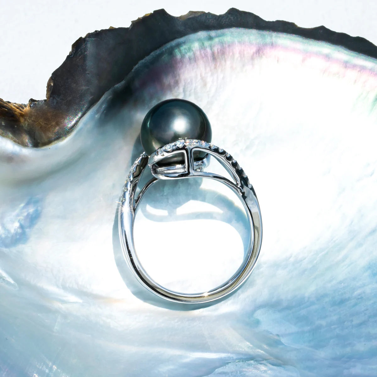 12-13mm Natural Tahitian Black Pearl Moissanite Diamond Engagement rings