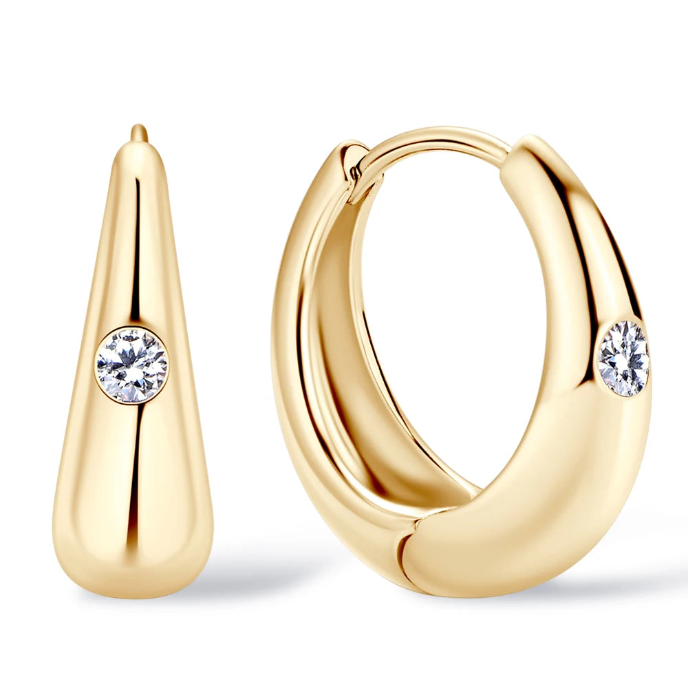 Certified 925 Silver Vintage Chunky Hoop Earring For Women 2.5mm Moissanite Earrings Trendy Prevent Allergy Jewelry Gifts